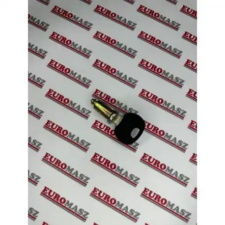 CYLINDER 04392881 Dostępne od ręki